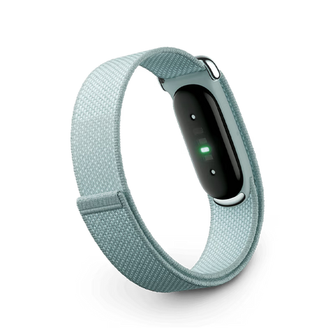 Google Fitbit Air Fitness Tracker - Fog