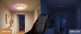 Govee 38cm RGBICWW Smart Ceiling Light Pro - H60A6