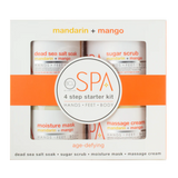BCL spa mandarin & mango starter kit skin care unisex  4pcs