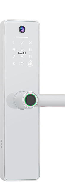 Gopeta FY16, TUYA Wi-Fi Smart Lock with Camera for Wooden Doors, Fingerprint, RFID & App Control