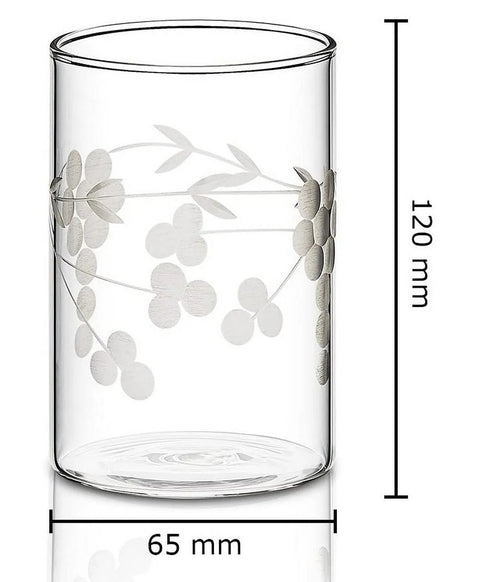 Borosil Berry Vision Glass Tumbler Set of 6 – 350 ml