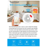 Gopeta, Smart WiFi Gas Leak Sensor – 220V AC Plug-In