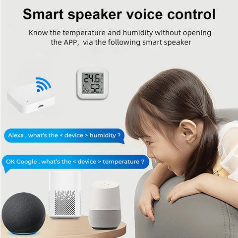 Gopeta WL-THB1, Bluetooth Temperature and Humidity Sensor with Digital Display