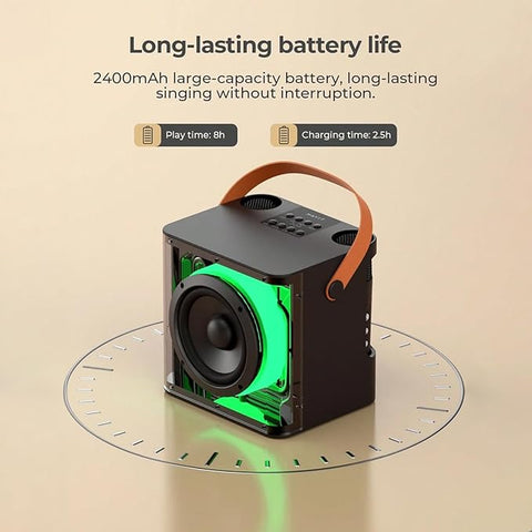 Havit SK822BT, Bluetooth speaker (Black)