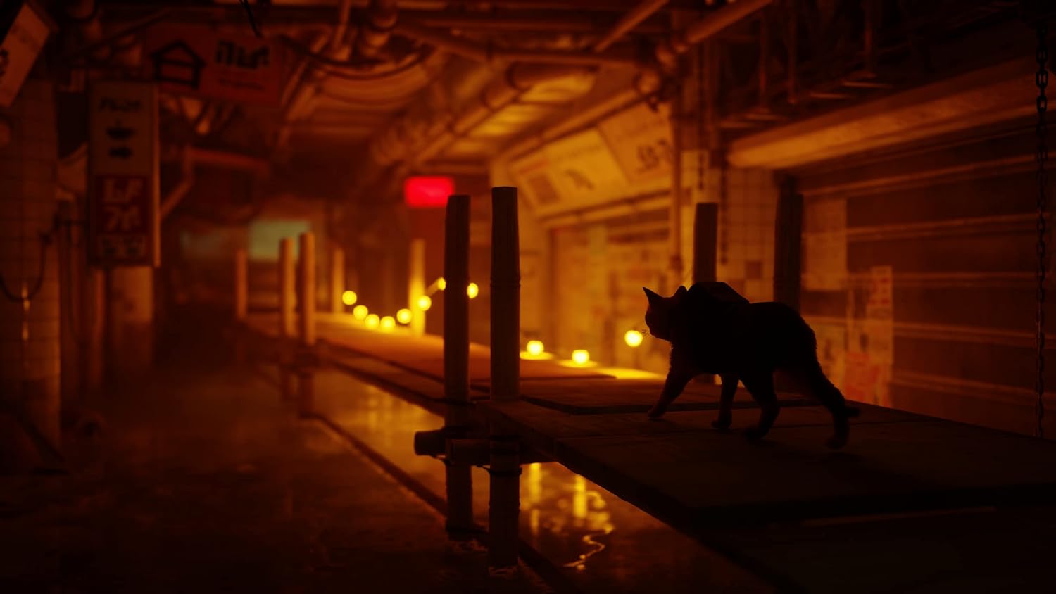 PS5 ستراي يو PS5 ستراي يو