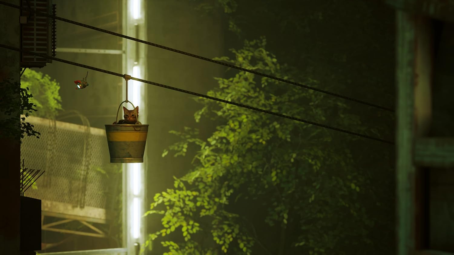 PS5 ستراي يو PS5 ستراي يو