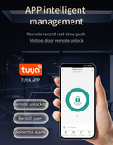 Gopeta FY16, TUYA Wi-Fi Smart Lock with Camera for Wooden Doors, Fingerprint, RFID & App Control