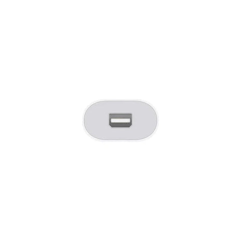 Apple A1790, USB Type-C To Thunderbolt 2 Adapter - White