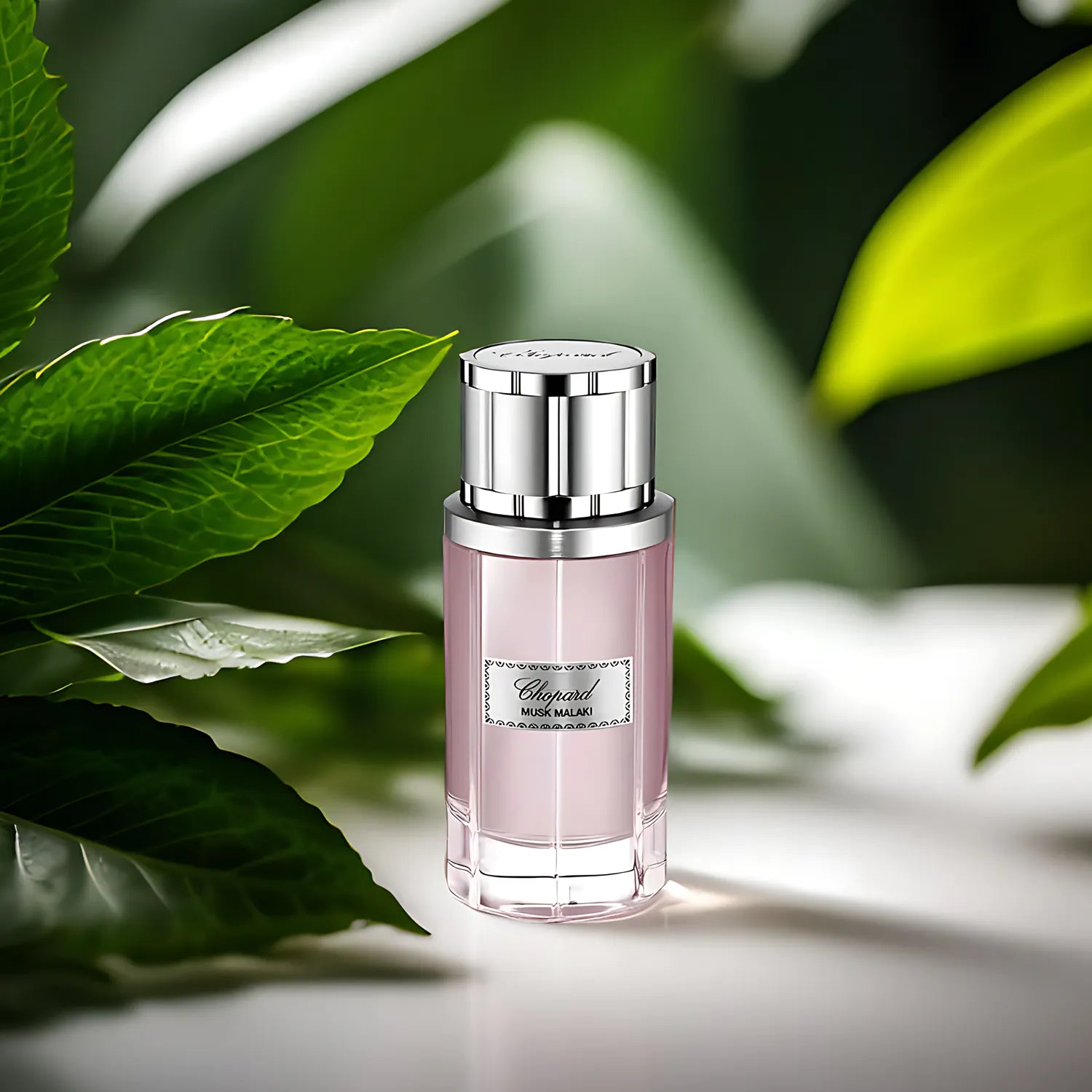 Chopard Musk Malaki EDP For Unisex - 80 ml Chopard Musk Malaki EDP For Unisex - 80 ml