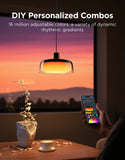 Govee RGBICWW Pendant light - H60C1