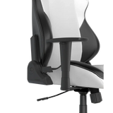 DXRacer Drifting Series XL Gaming Chair - White/Black