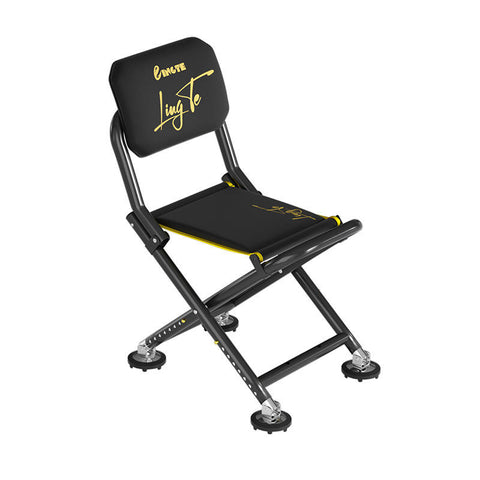 LingTe Adjustable Folding Fishing Chair with Padded Backrest & Carry Bag