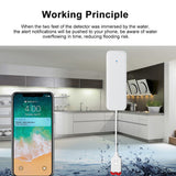 Gopeta WL-898WT, Tuya WIFI Water Leakage Sensor