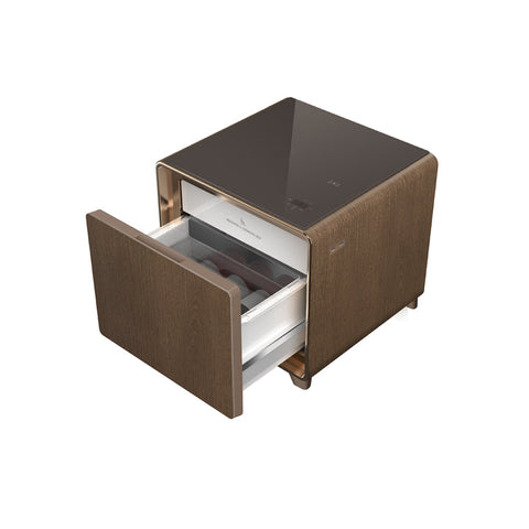 Mini Smart Refrigerator Coffee Table