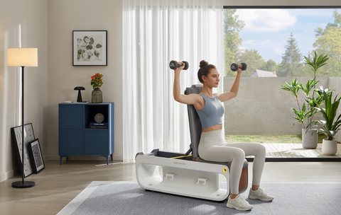 Kingsmith Multifunctional Fitness Bench