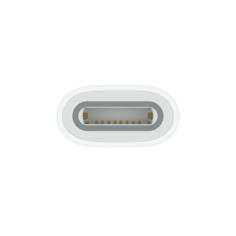 Apple A2869, USB-C to Apple Pencil Adapter