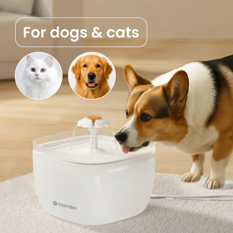 NOERDEN PawQuench Pet Water Fountain