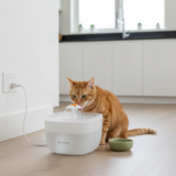 NOERDEN PawQuench Pet Water Fountain