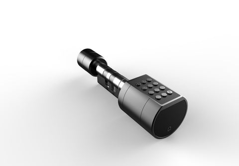 Gopeta, Smart Cylinder Lock for Wooden Doors with TUYA Bluetooth App, Fingerprint, Card & Passcode