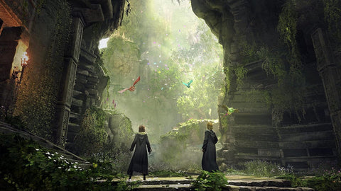 Sony PS4, Hogwarts Legacy - PAL
