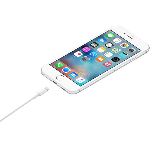 Apple Lightning to USB Cable (0.5 m) ME291