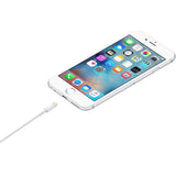 Apple Lightning to USB Cable (0.5 m) ME291