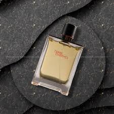 هيرمس عطر تيري دي هيرمس أو دو تواليت للرجال - 100 مل هيرمس عطر تيري دي هيرمس أو دو تواليت للرجال - 100 مل