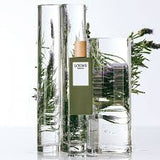 Loewe Esencia Pour Homme EDT For Him - 100 ml