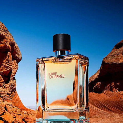 Hermès Terre D’Hermès EDP For Him - 75 ml