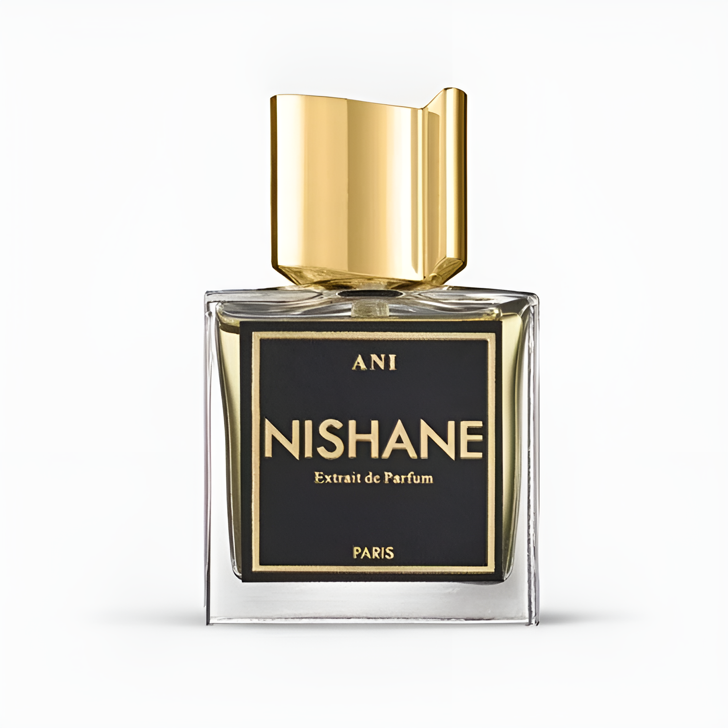 NISHANE ANI-UNISEX-EXTRAIT DE PARFUM-100ML NISHANE ANI-UNISEX-EXTRAIT DE PARFUM-100ML