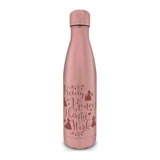 PMD Metal Water Bottle: Disney β Disney Princess (Thirsty)