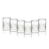 Borosil Meadow Vision Glass Tumbler Set of 6 – 295 ml