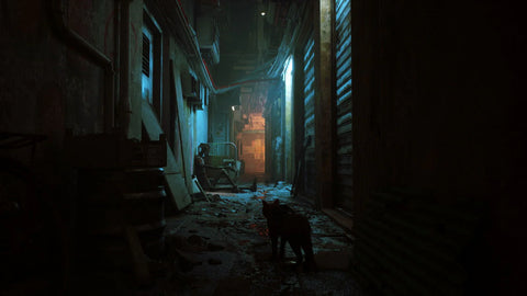 Sony PS5, Stray, PlayStation 5