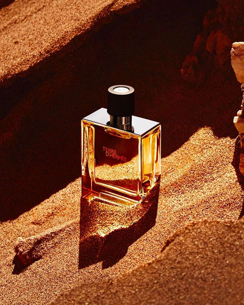 Hermès Terre D’Hermès EDP For Him - 75 ml