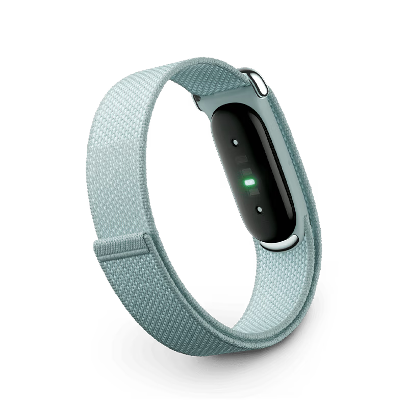Google Fitbit Air Fitness Tracker - Fog