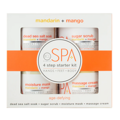 BCL SPA MANDARIN & MANGO STARTER KIT SKIN CARE UNISEX 4PCS