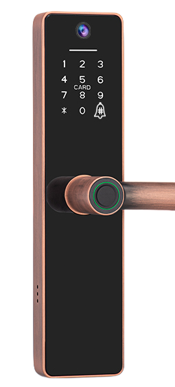 Gopeta FY16, TUYA Wi-Fi Smart Lock with Camera for Wooden Doors, Fingerprint, RFID & App Control