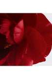 Chanel N°1 De Chanel Lip And Cheek Balm Enhances Colour Nourishes Plumps - 2 Healthy Pink