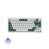 Keychron, 75% RGB Backlight Swappable Fully Assembled Knob, QMK Wireless Mechanical Gaming Keyboard, Shell White - English/Arabic