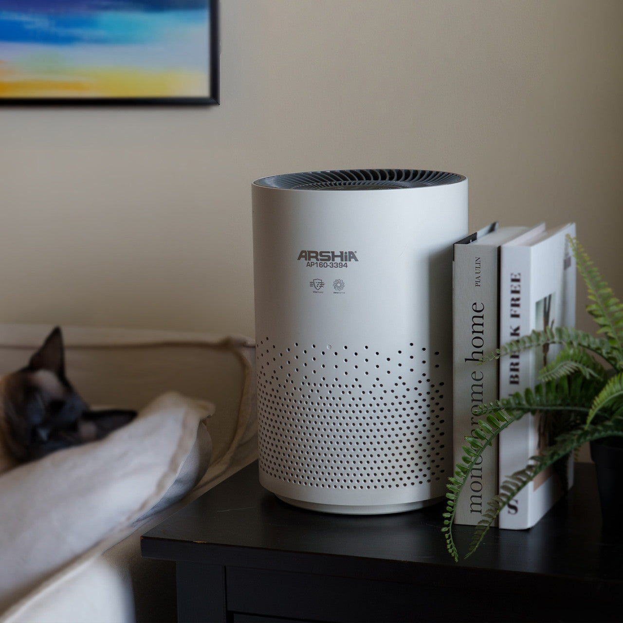 Arshia AP160-3394, Air Purifier with HEPA Filter & Ionization