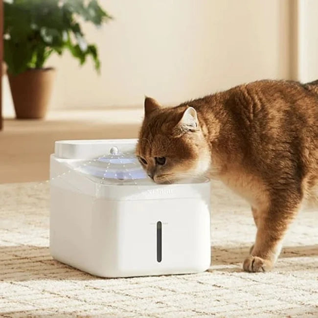 Xiaomi Smart Pet Fountain 2