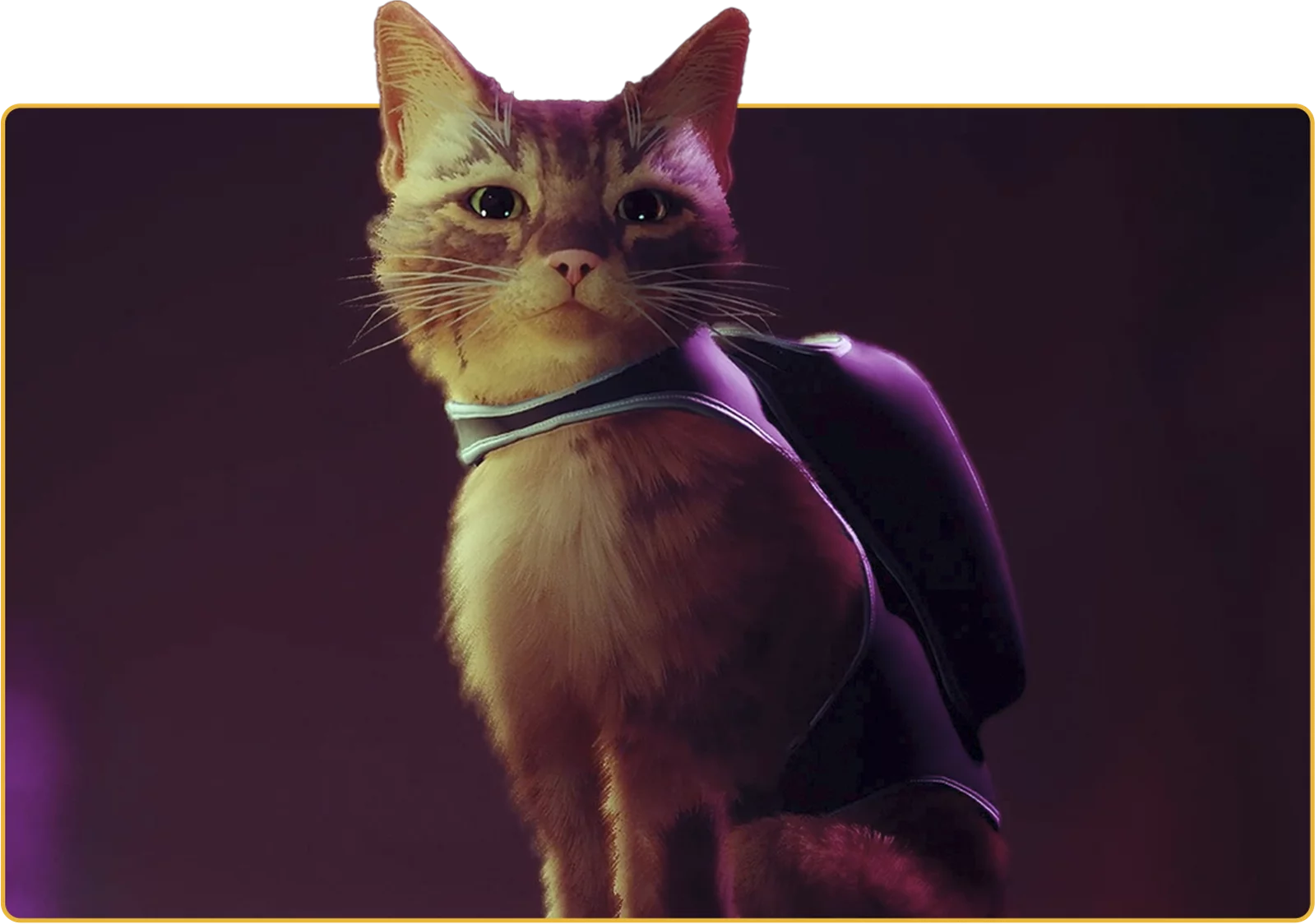 PS5 ستراي يو