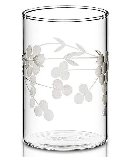 Borosil Berry Vision Glass Tumbler Set of 6 – 350 ml