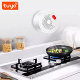 Gopeta, Smart WiFi Gas Leak Sensor – 220V AC Plug-In