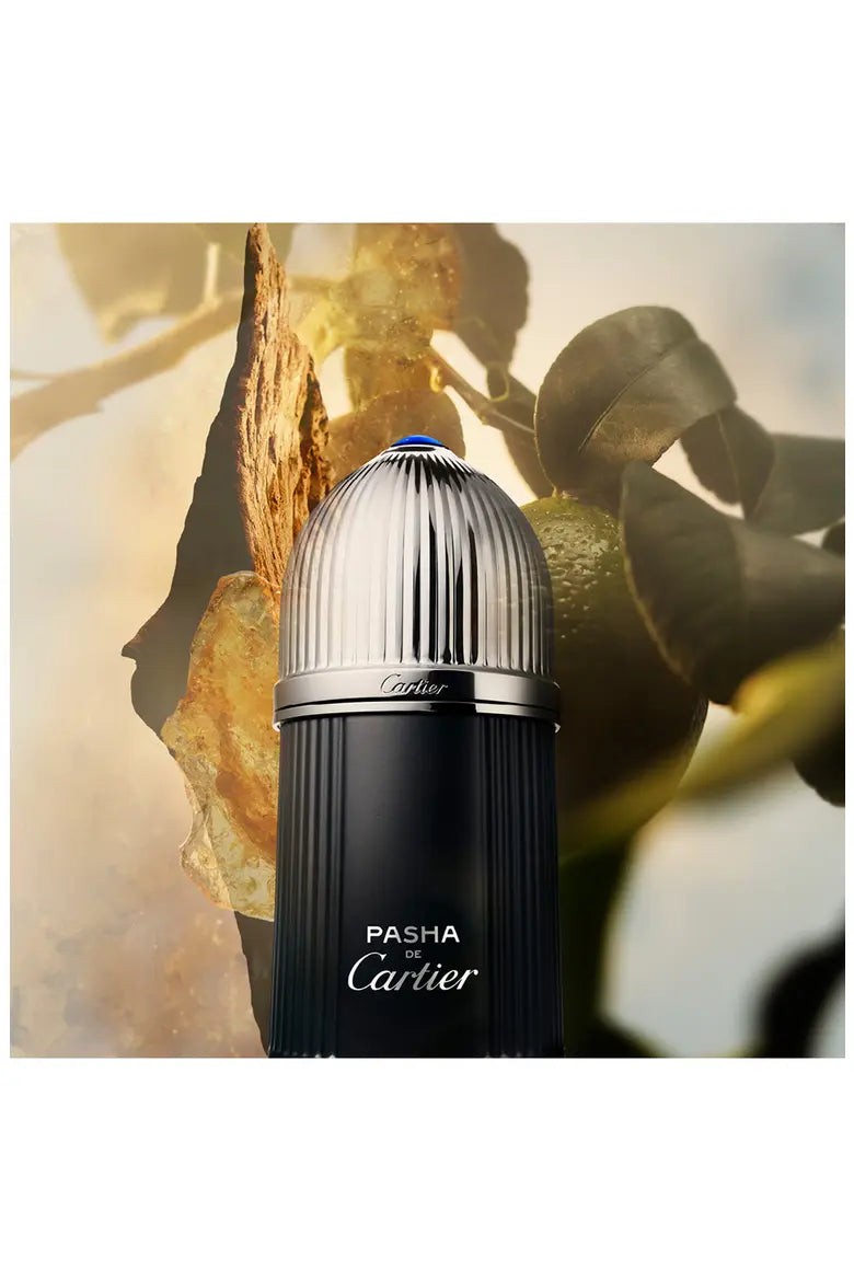 Cartier Pasha Edition Noire EDT For Him - 100 Ml