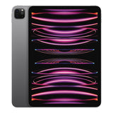 APPLE IPAD PRO (2022) M2 2TB 5G 11-INCH CHIP -- SPACE GRAY