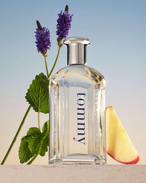 تومي هيلفيجر عطر تومي - أو دو تواليت للرجال - 100 مل