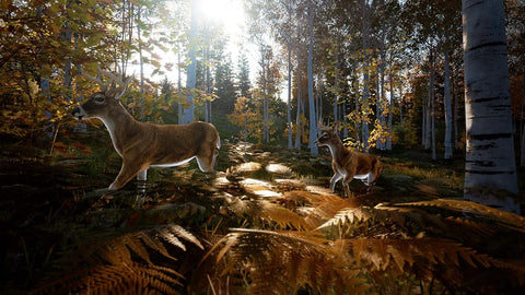 Sony PS5, Hunting Simulator 2, PlayStation 5