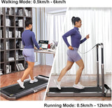 King Smith R2 Pro Walking Pad Foldable Treadmill - Black