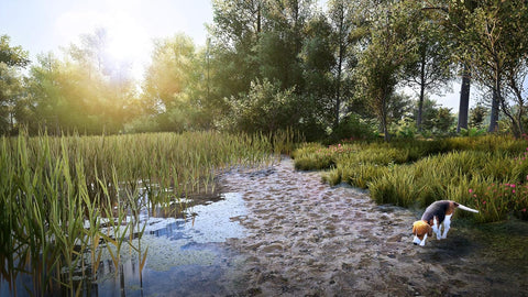 Sony PS5, Hunting Simulator 2, PlayStation 5